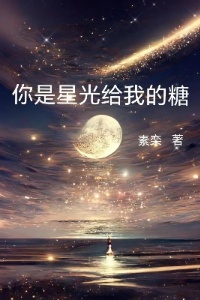 你是星光给我的糖在线阅读