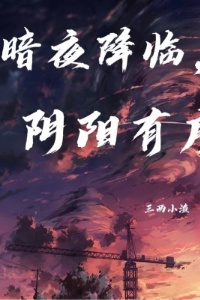 暗夜降临，阴阳有序在线阅读