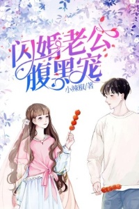 闪婚老公腹黑宠在线阅读