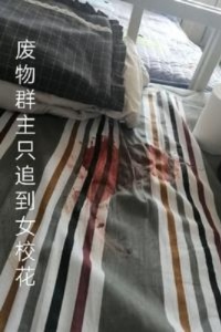 网恋之群主追到女校花在线阅读