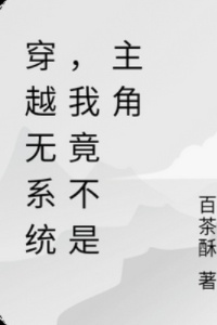 穿越无系统，我竟不是主角在线阅读