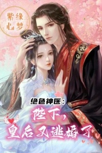 绝色神医：陛下，皇后又逃婚了在线阅读