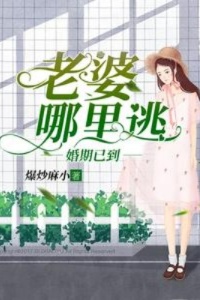 婚期已到：老婆哪里逃在线阅读