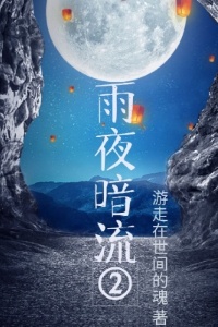 雨夜暗流2在线阅读